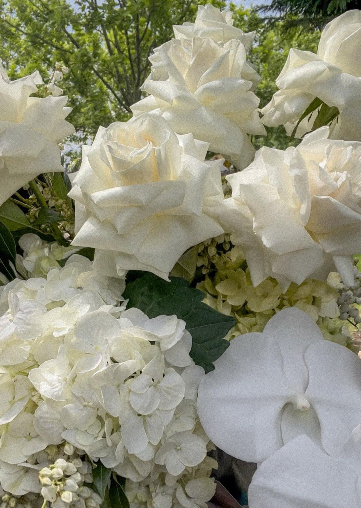 Cosmic Whites