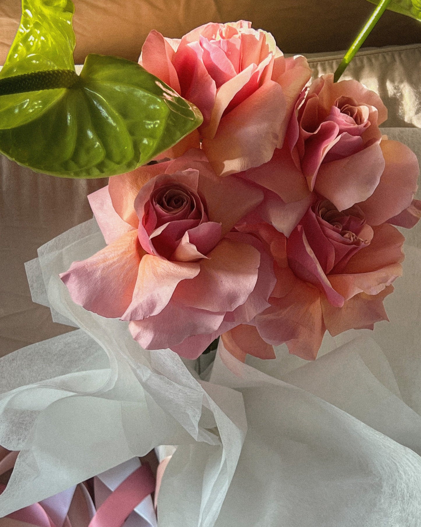 Watermelon Blooms